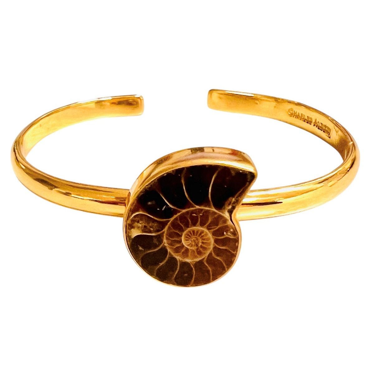 Genuine Ammonite Fossil Cuff Bracelet | AMNH Shop
