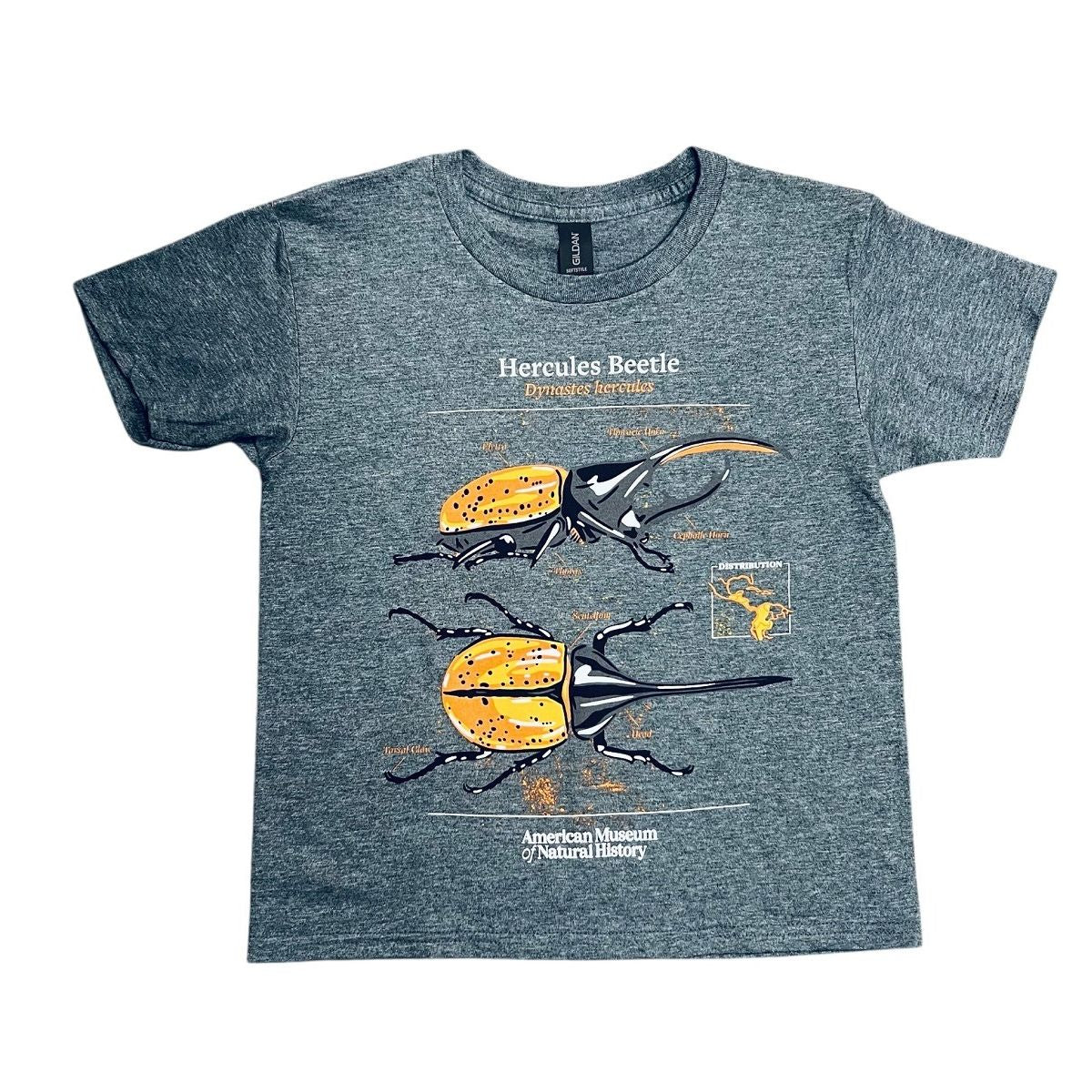 Youth Charcoal Gray Hercules Beetle T-Shirt | AMNH Shop