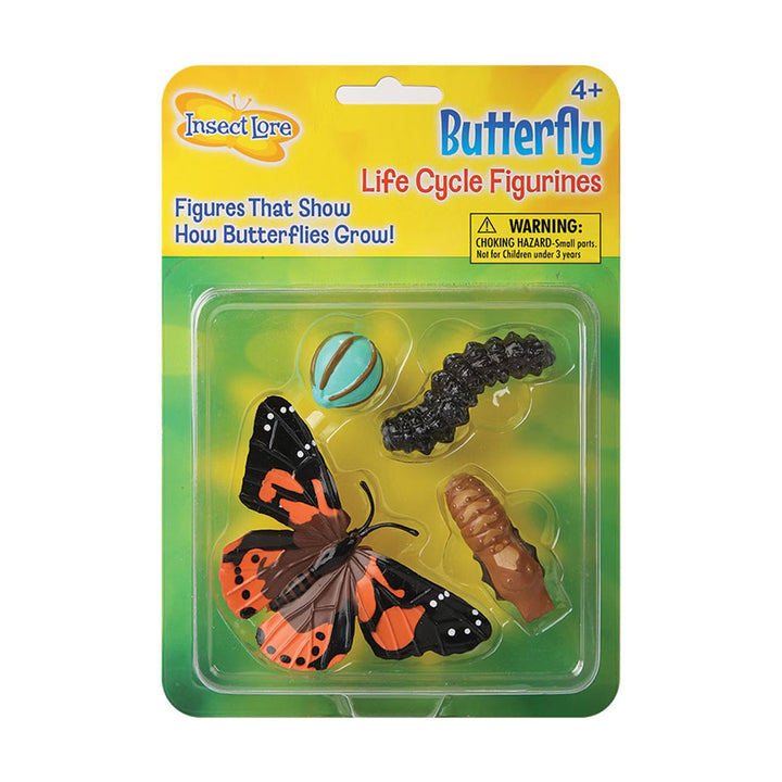 Butterfly Life Cycle Stages Toy