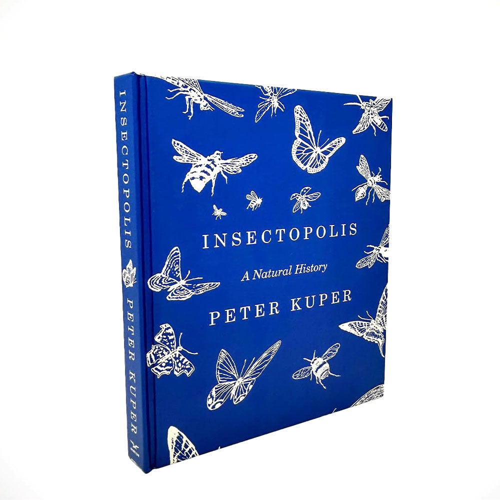 Insectopolis: A Natural History