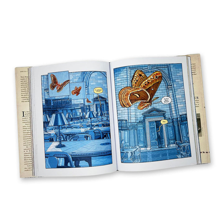 Insectopolis: A Natural History