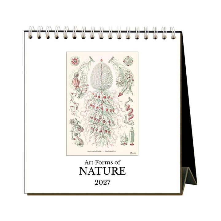 Art Forms of Nature 2027 Desk Calendar