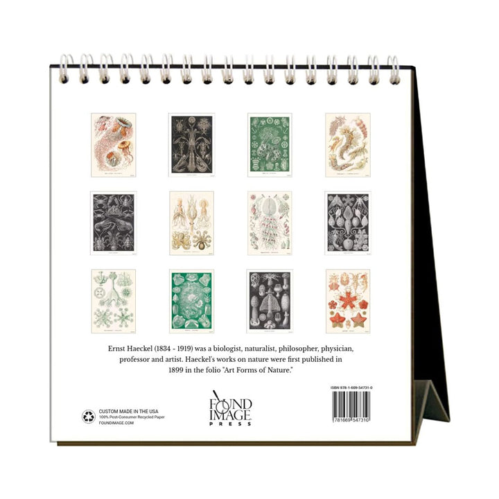 Art Forms of Nature 2027 Desk Calendar
