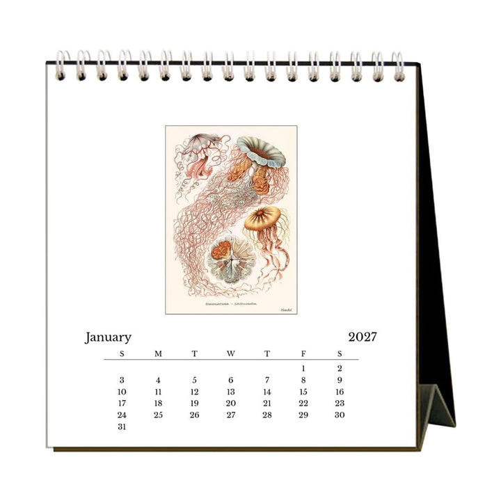 Art Forms of Nature 2027 Desk Calendar