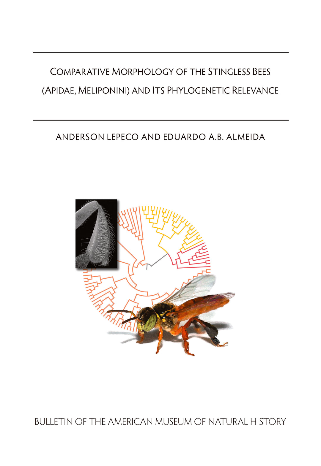B478 (2026) Anderson Lepeco and Eduardo A. B. Almeida