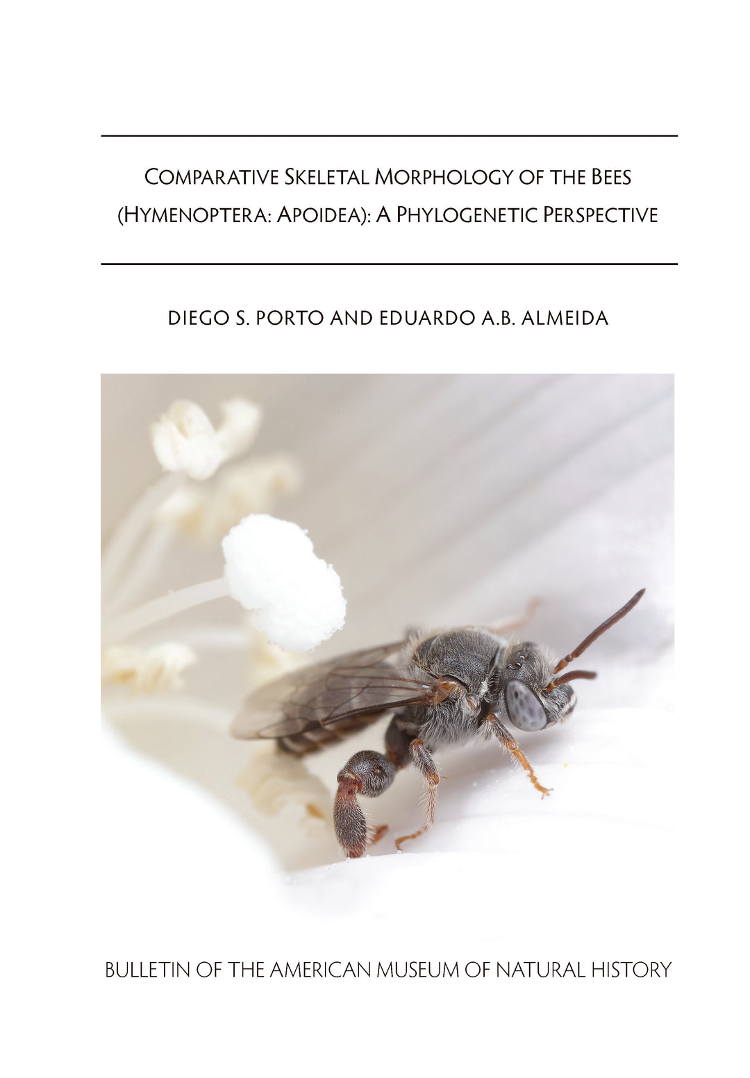 B483 (2026) Diego S. Porto and Eduardo A. B. Almeida