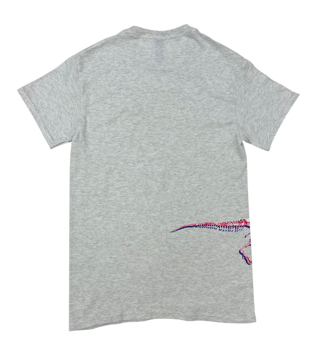 Adult AMNH Wrap Around Pop Art Dinosaur T-Shirt