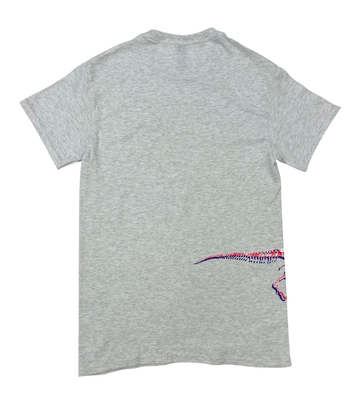 Adult AMNH Wrap Around Pop Art Dinosaur T-Shirt