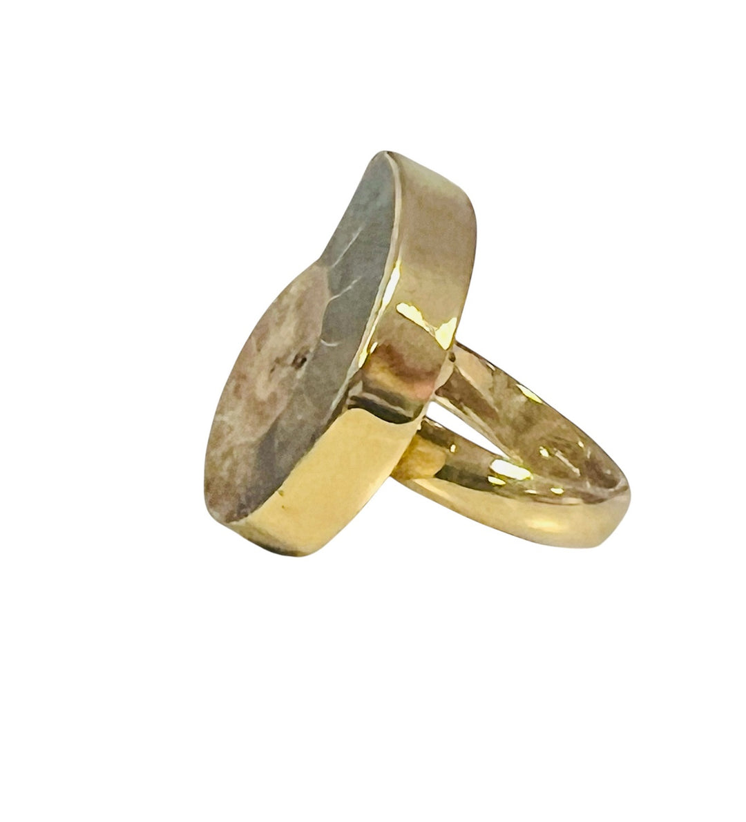 Fossil Ammonite & Alchemia Adjustable Ring