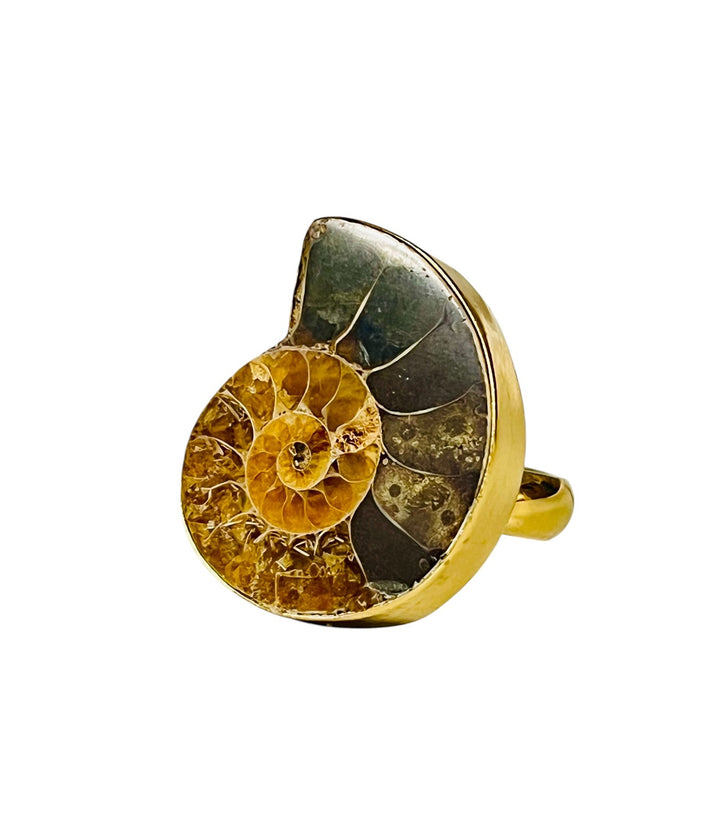Fossil Ammonite & Alchemia Adjustable Ring