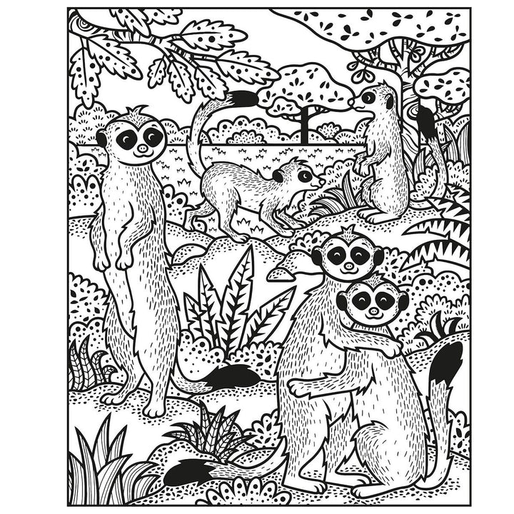 Animals Magic Painting Book 2