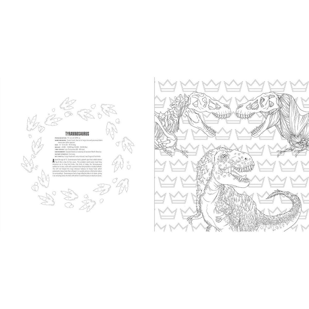 Smithsonian Animals Coloring Book Box Set 3