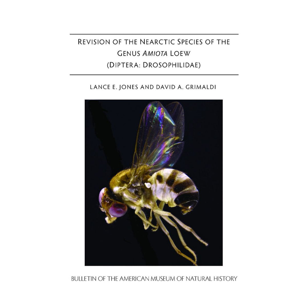 B458 (2022) Revision of the Nearctic Species of the Genus Amiota Loew 