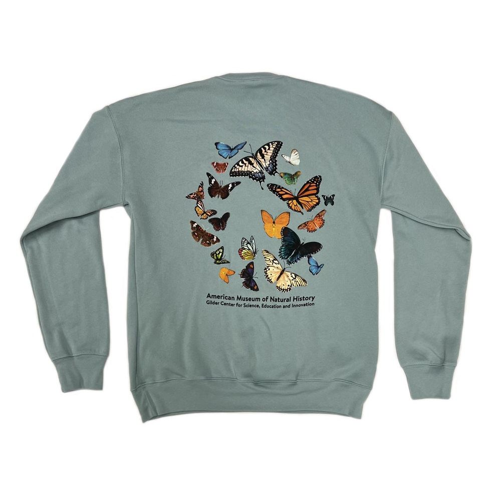 Adult AMNH Gilder Center Butterflies Sweatshirt Back