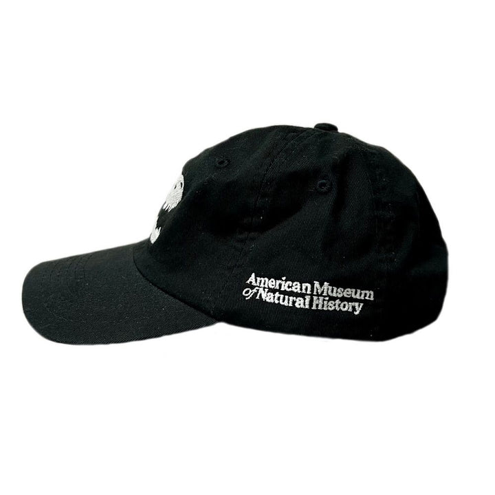 Youth Black Cap with White Glow-In-The-Dark Skull  Side