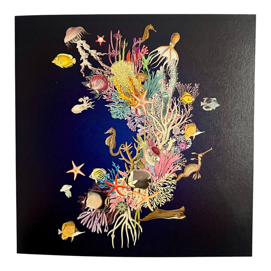 Assorted Nature Notecards