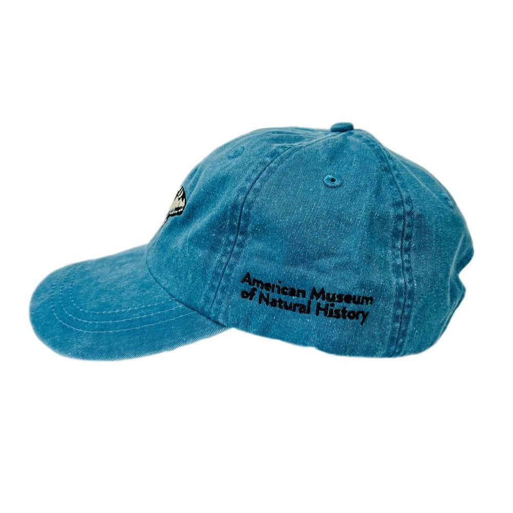 Adult AMNH Embroidered Denim Butterfly Cap