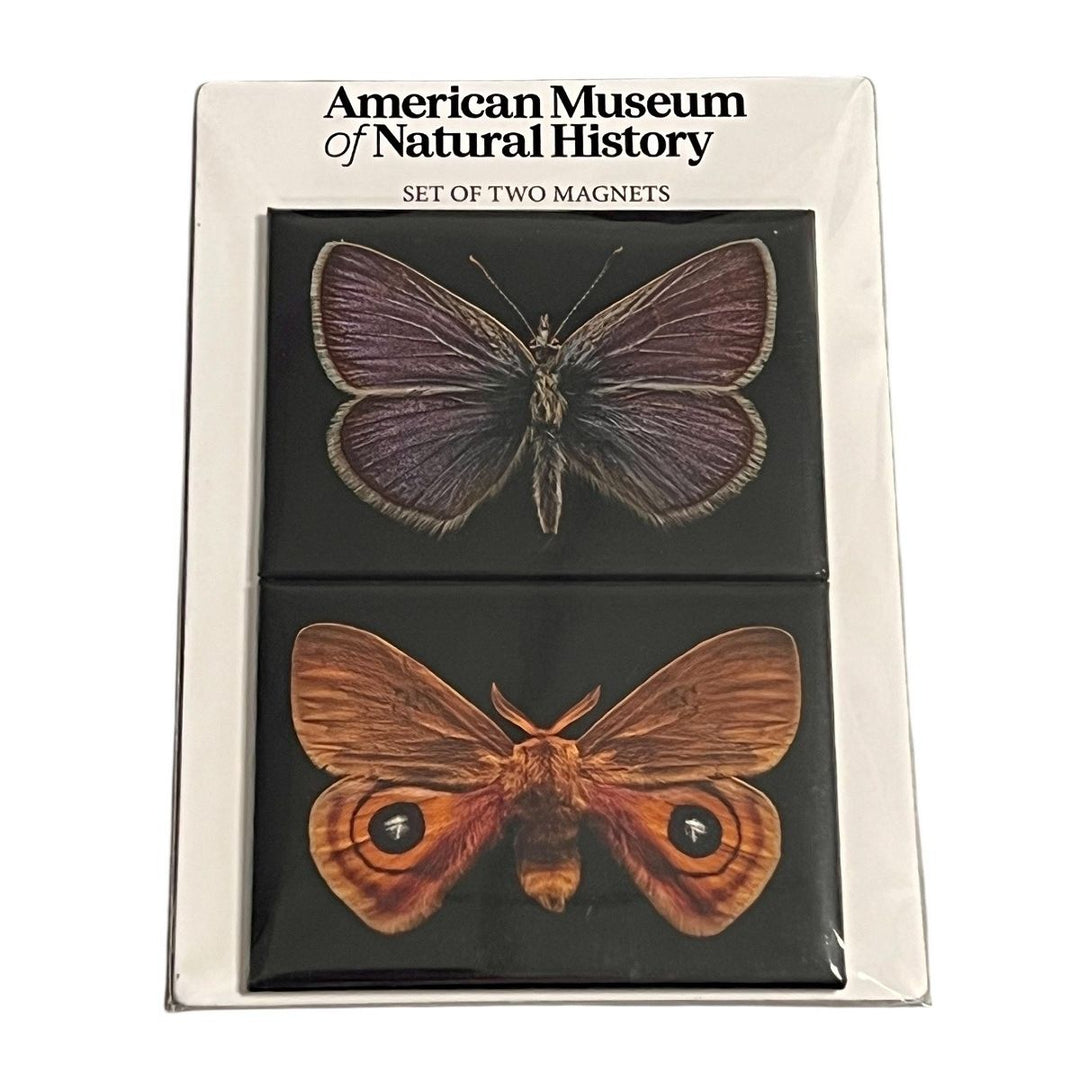 AMNH Set of 2 Magnets - Butterfly and Moth