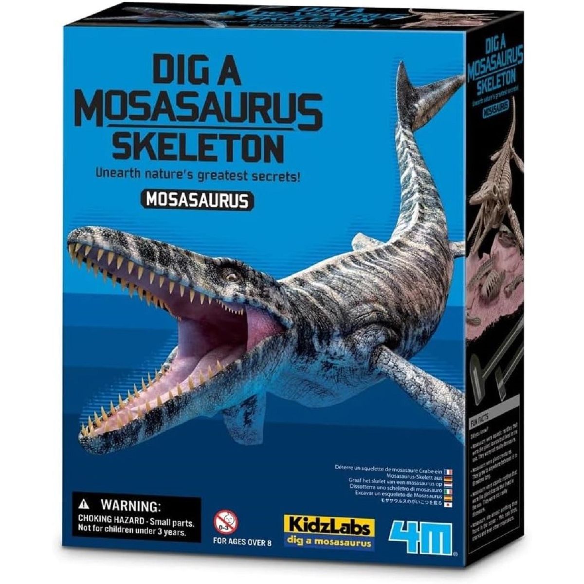 Dig A Mosasaurus Skeleton Kit | AMNH Shop