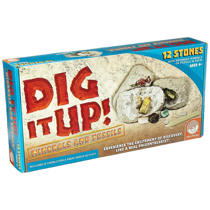 Dig It Up Minerals and Fossils Kit