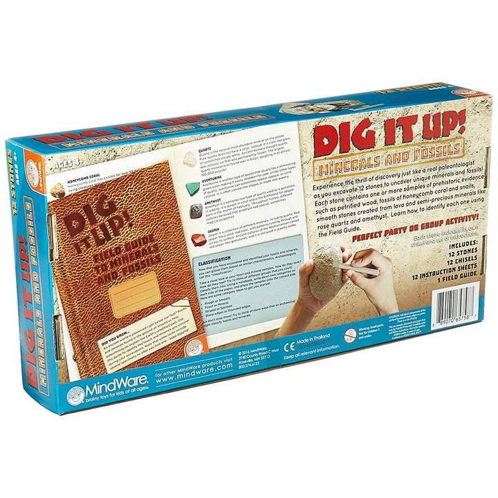 Dig It Up Minerals and Fossils Kit
