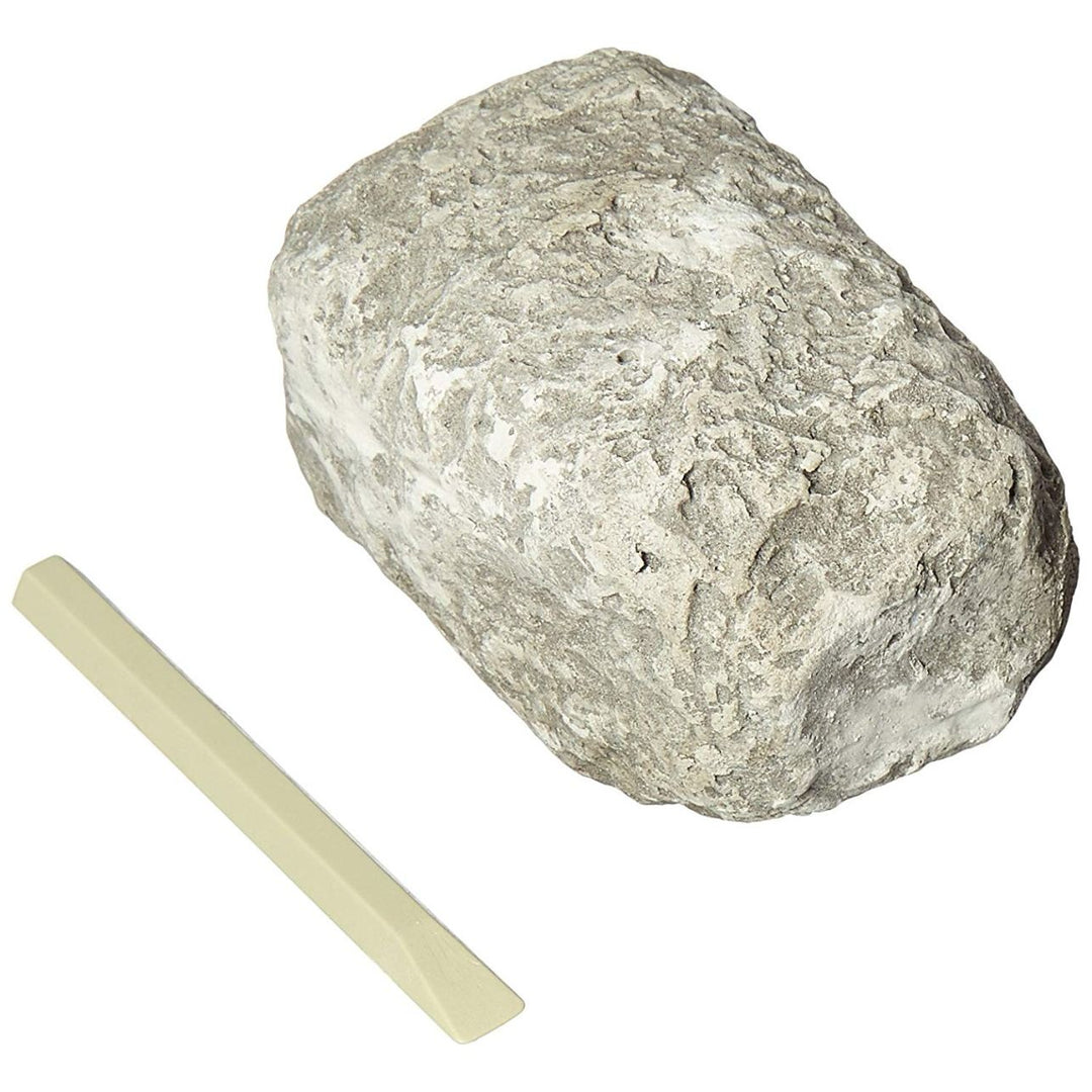 Dig It Up Minerals and Fossils Kit