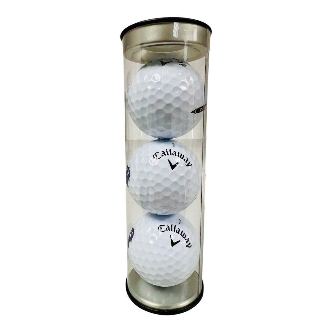 3-Pack T-Rex Skull Golf Balls
