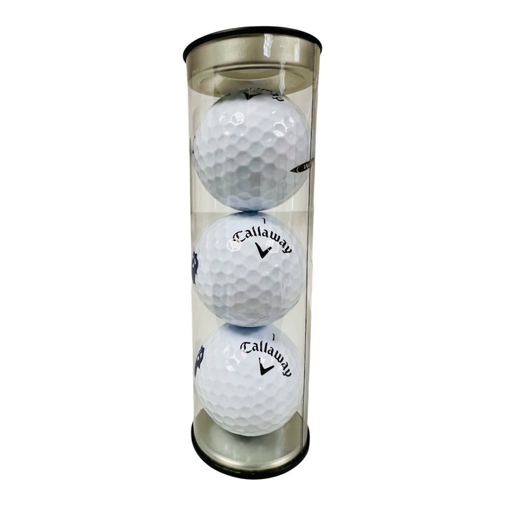 3-Pack T-Rex Skull Golf Balls