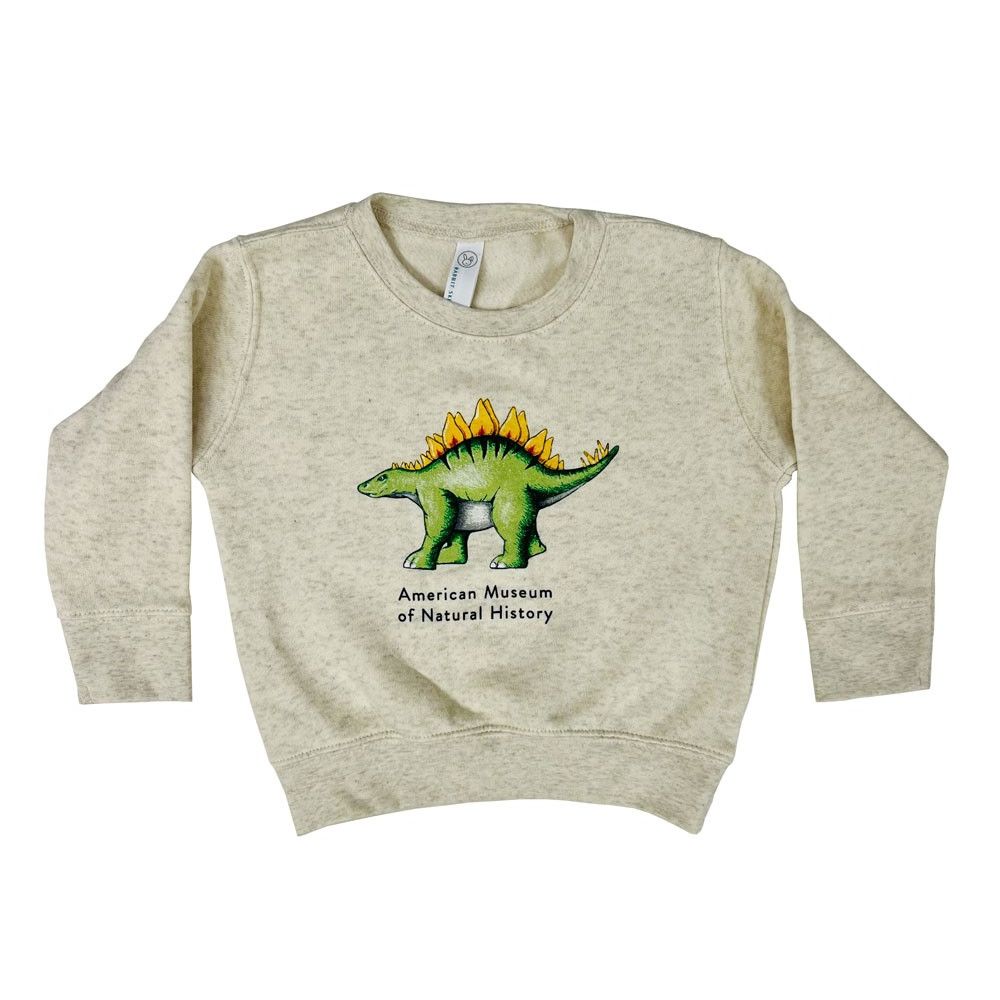 Toddler Fleece Baby Stego Sweatshirt