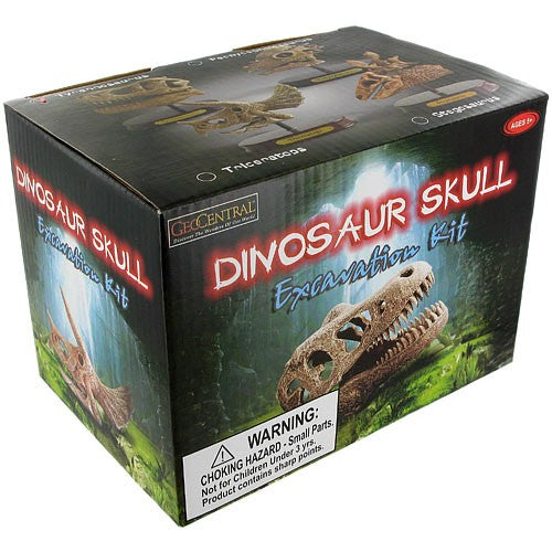 D.skull 園芸アイテム (４点セット) Tyrannosaurus Skull Dig Kit | AMNH Shop
