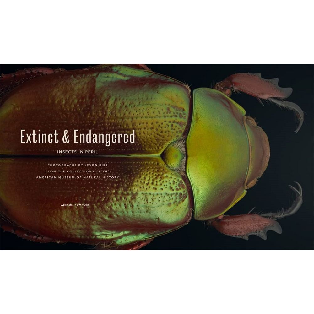 Extinct and Endangered: Insects in Peril beetle