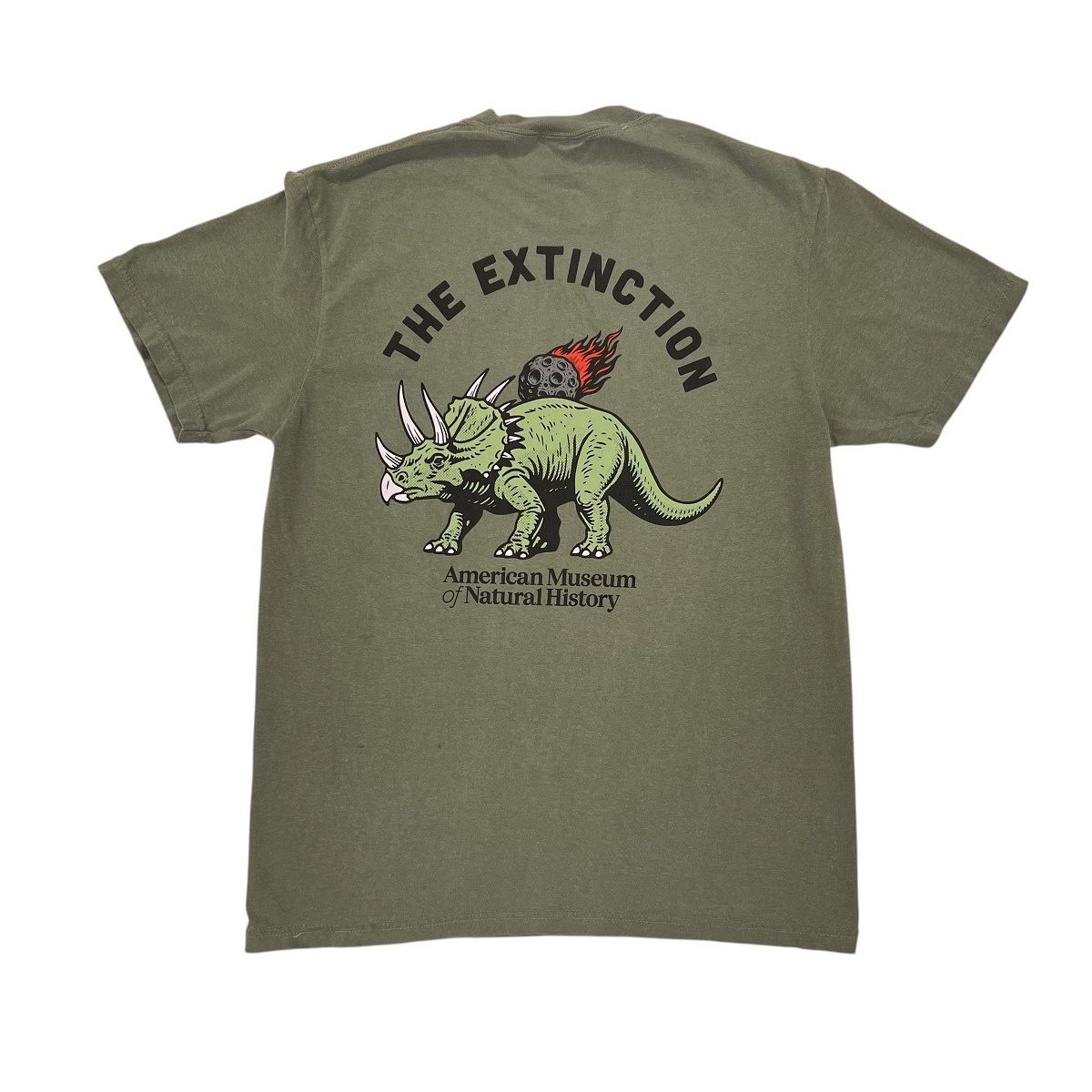 [Linked Image from shop.amnh.org]
