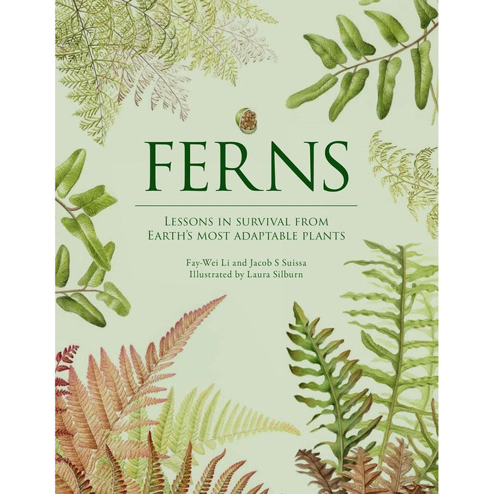 Ferns: Lessons in Survival from Earth's Most Adaptable Plants