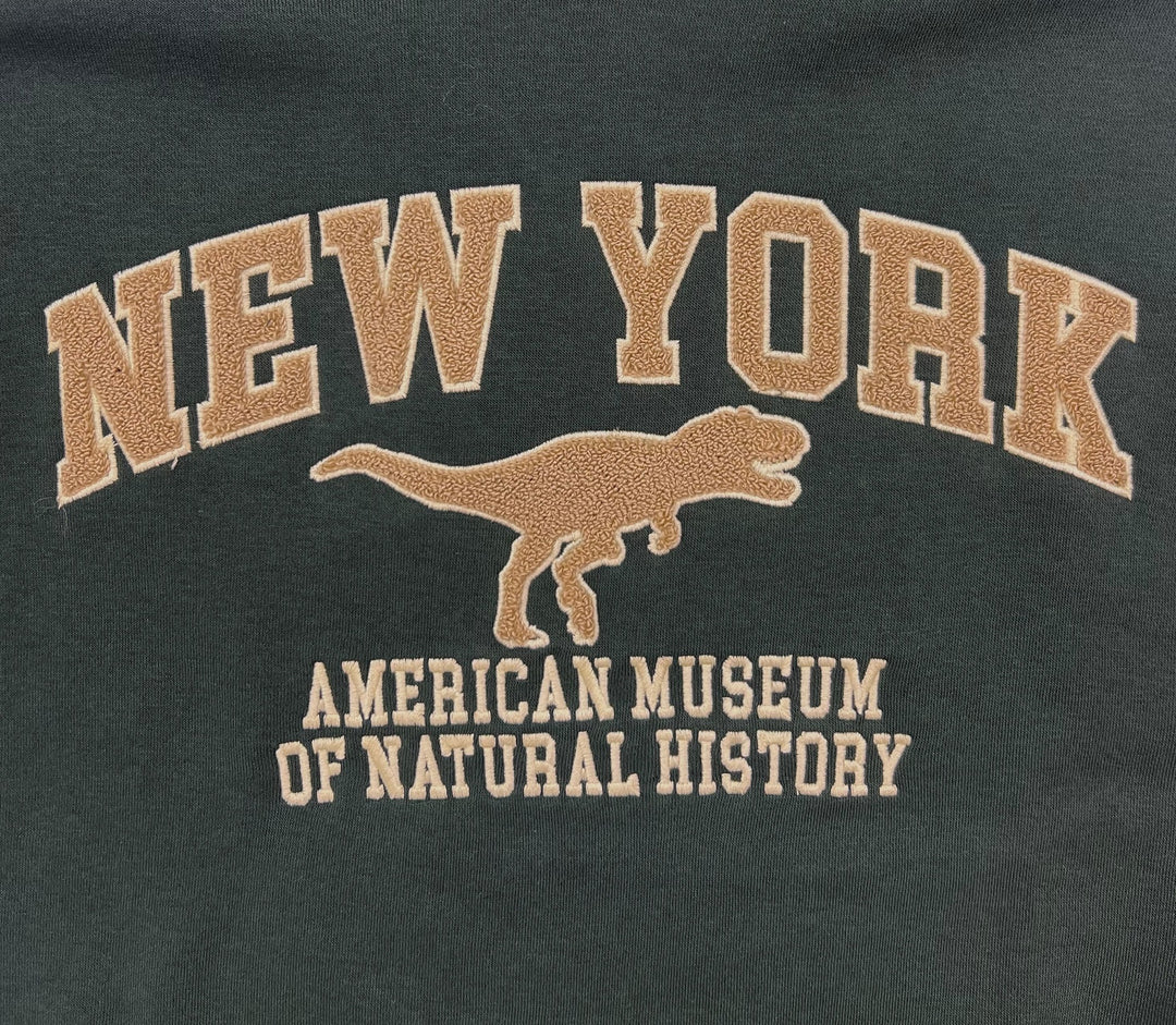 Adult Forest Green Hoodie New York Dino Patch
