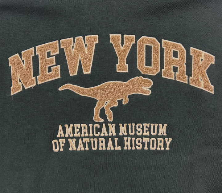 Adult Forest Green Hoodie New York Dino Patch