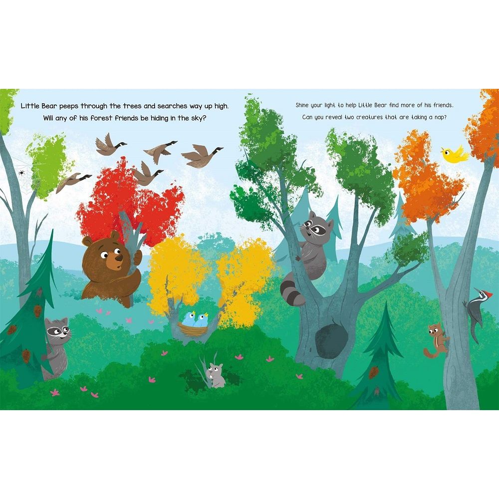 Forest Friends Hide-and-Seek Book