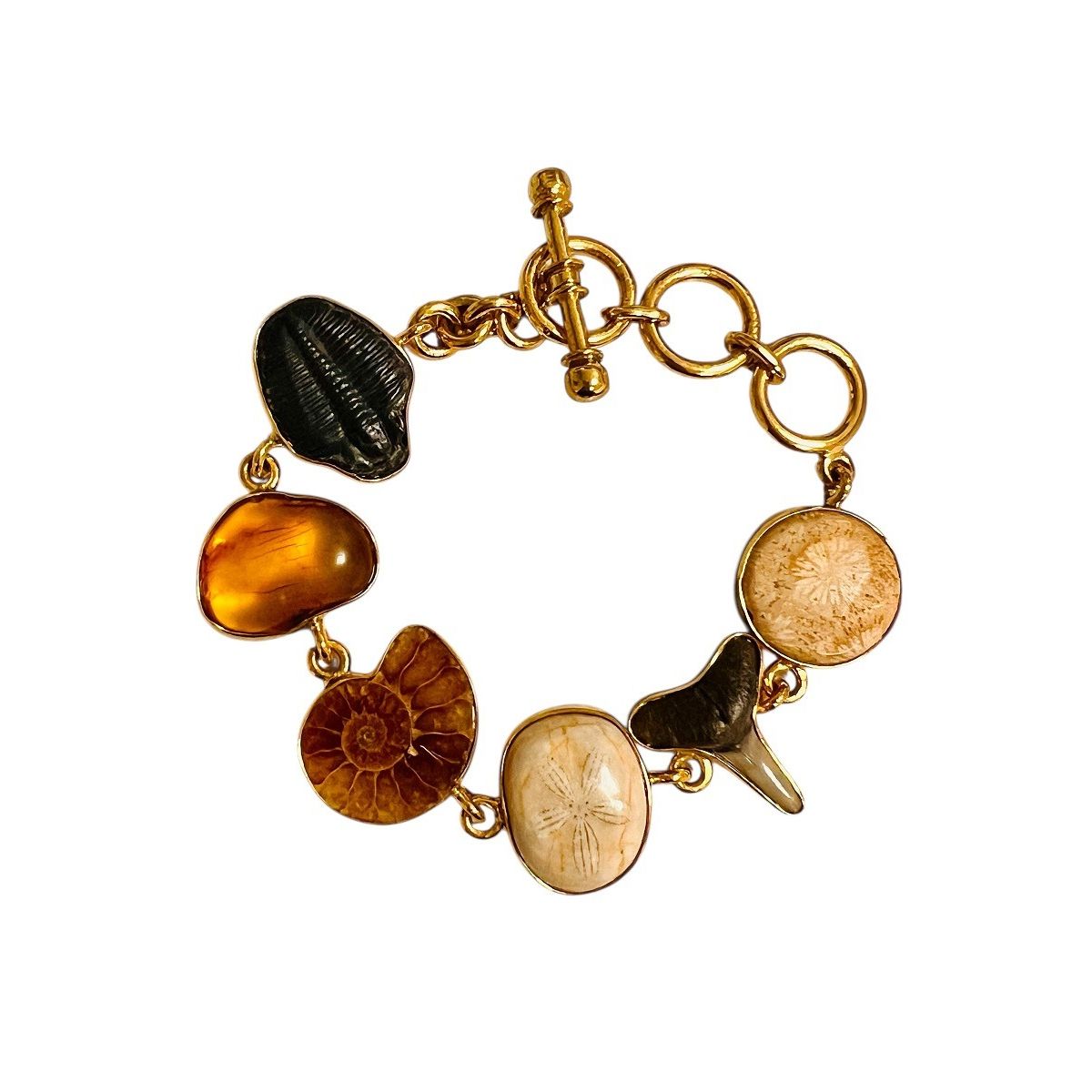 Handcrafted Multi-Fossil Bracelet | AMNH Shop