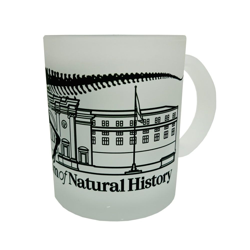 AMNH Frosted Glass T. Rex Mug  Reverse