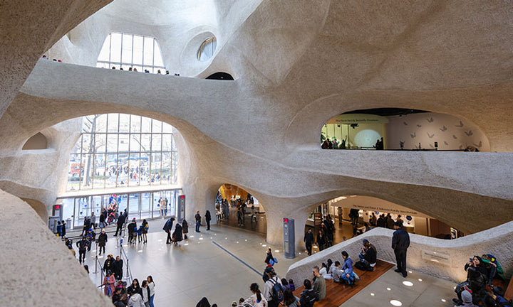 Museum Shop | American Museum of Natural History
