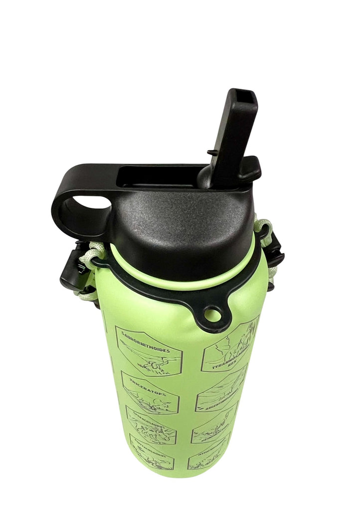 Green Dinosaur-Themed Insulated Water Bottle with Straw