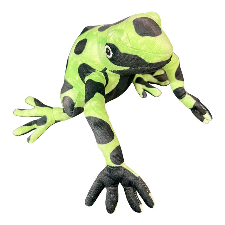 Assorted Plush Poison Dart Frogs