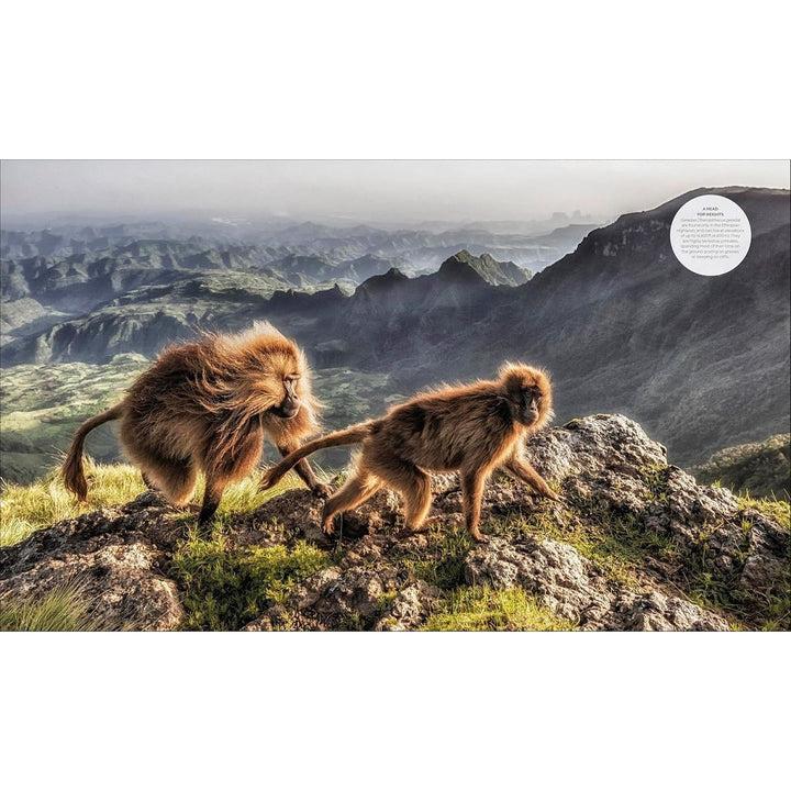 Habitats: Discover Earth's Precious Wild Places 3