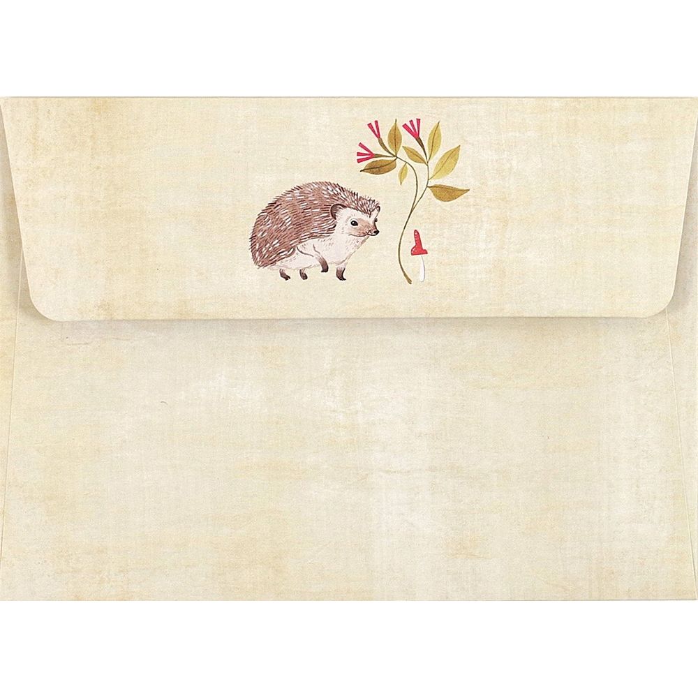 Hedgehog Notecards Boxed Set of 14