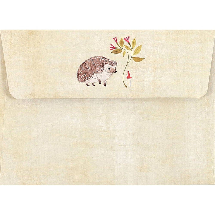 Hedgehog Notecards Boxed Set of 14