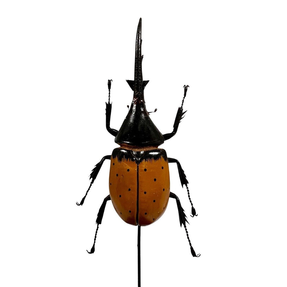 Hercules Beetle Replica Under Glass Dome front