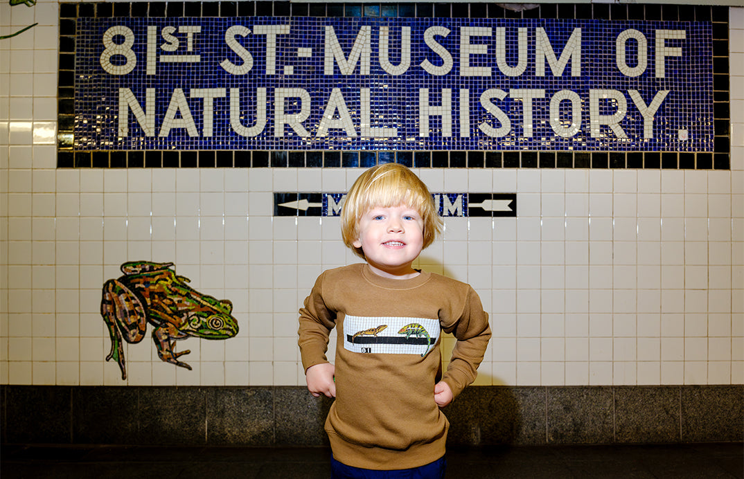 American Museum of Natural History 鉛筆　超長 American Museum of Natural History 鉛筆 超長 amnh_oval_sticker.jpg?v=