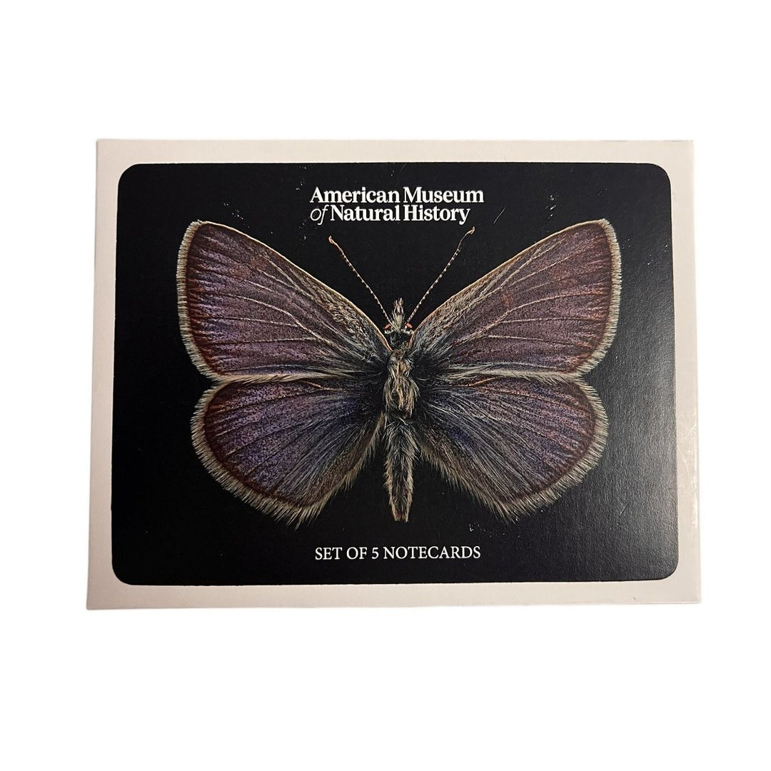 AMNH Boxed Set of 5 Butterfly and Moth Notecards