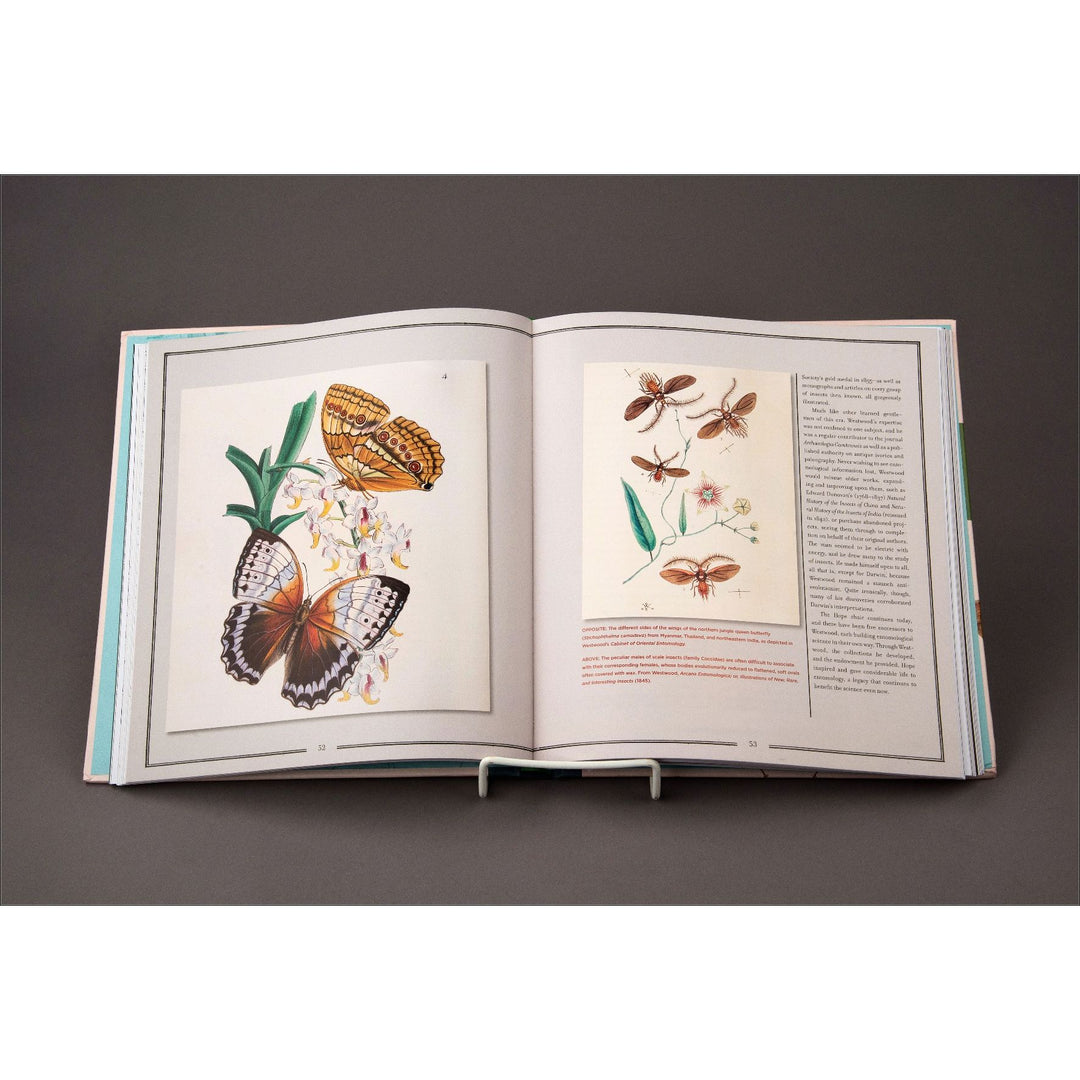Natural Histories Innumerable Insects
