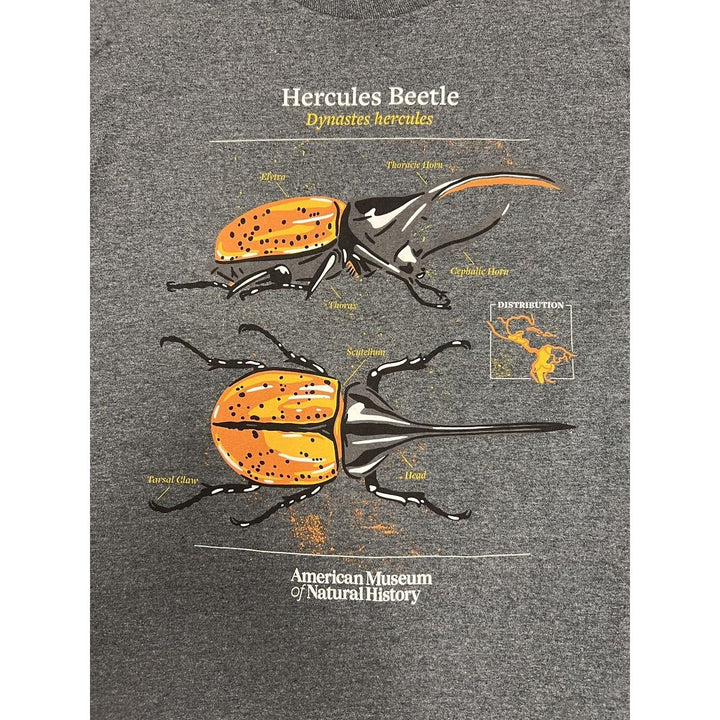 Adult AMNH Hercules Beetle LS T-Shirt closeup
