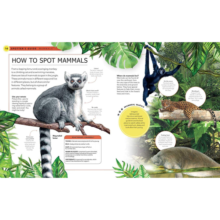 Jungle Animals: A Spotter's Guide mammals